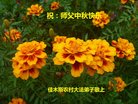 Published on 10/3/2017 ���ֹ�,���󷨵��ӹ�ףʦ�������(26��)