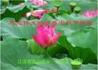 Published on 10/4/2017 ���ֹ�,��½�󷨵��ӹ�ףʦ�������(30��)