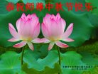 Published on 10/4/2017 ���ֹ�,��½�󷨵��ӹ�ףʦ�������(33��)