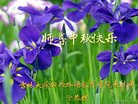 Published on 10/4/2017 ���ֹ�,��½��ԺУ���������������ȱ���ʦ���¾�