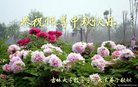 Published on 10/4/2017 ���ֹ�,��½��ԺУ���������������ȱ���ʦ���¾�