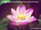 Published on 10/4/2017 ���ֹ�,��½�󷨵��ӹ�ףʦ�������(26��)