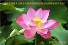 Published on 10/4/2017 ���ֹ�,��½�󷨵��ӹ�ףʦ�������(26��)