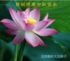 Published on 10/4/2017 ���ֹ�,��½�󷨵��ӹ�ףʦ�������(26��)