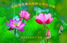 Published on 10/4/2017 ���ֹ�,��½�󷨵��ӹ�ףʦ�������(32��)