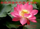 Published on 10/4/2017 ���ֹ�,��½�󷨵��ӹ�ףʦ�������(33��)
