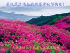 Published on 10/4/2017 ���ֹ�,��½�󷨵��ӹ�ףʦ�������(29��)