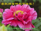 ֹ,֣ݴ󷨵ӹףʦ(26)