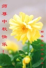 ֹ,ɶ󷨵ӹףʦ(22)