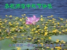 ֹ,󷨵ӹףʦ(29)