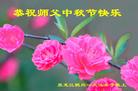 Published on 10/4/2017 ���ֹ�,��½�󷨵��ӹ�ףʦ�������(26��)