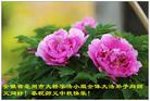Published on 10/4/2017 ���ֹ�,��½�󷨵��ӹ�ףʦ�������(31��)
