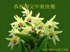 Published on 10/4/2017 ���ֹ�,��½�󷨵��ӹ�ףʦ�������(33��)