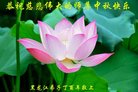 Published on 10/4/2017 ���ֹ�,��½�󷨵��ӹ�ףʦ�������(32��)