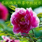 Published on 10/4/2017 ���ֹ�,��½�󷨵��ӹ�ףʦ�������(25��)