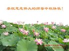 Published on 10/4/2017 ���ֹ�,��½�󷨵��ӹ�ףʦ�������(26��)