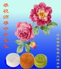Published on 10/4/2017 ���ֹ�,��½�󷨵��ӹ�ףʦ�������(31��)