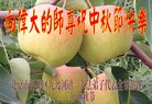 Published on 10/4/2017 ���ֹ�,��½�󷨵��ӹ�ףʦ�������(26��)