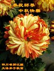 ֹ,Ĵ󷨵ӹףʦ(25)