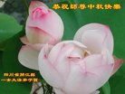 ֹ,Ĵ󷨵ӹףʦ(25)