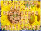 Published on 10/4/2017 ���ֹ�,��½�󷨵��ӹ�ףʦ�������(29��)