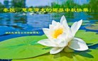 ֹ,󷨵ӹףʦ(30)