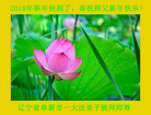 Published on 1/1/2018 ���ֹ�,��½�󷨵��ӹ�ףʦ�������(26��)