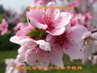 Published on 1/1/2018 ���ֹ�,��½�󷨵��ӹ�ףʦ�������(26��)