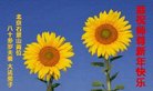 Published on 1/1/2018 ���ֹ�,��½�󷨵��ӹ�ףʦ�������(33��)