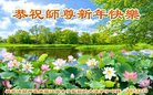 Published on 12/31/2017 ���ֹ�,���Ƿ���Ѻ�󷨵��ӹ�ףʦ�������(22��)