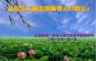 ֹ,󷨵ӹףʦ(20)