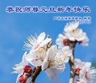 Published on 1/1/2018 ���ֹ�,��½�󷨵��ӹ�ףʦ�������(33��)