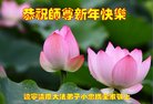Published on 1/1/2018 ���ֹ�,��½�󷨵��ӹ�ףʦ�������(32��)