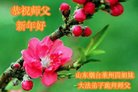 Published on 1/1/2018 ���ֹ�,��½�󷨵��ӹ�ףʦ�������(33��)