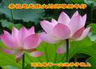 ֹ,ӱ󷨵ӹףʦ(20)