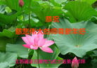 ֹ,մ󷨵ӹףʦ(20)