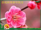 Published on 1/1/2018 ���ֹ�,��½�󷨵��ӹ�ףʦ�������(36��)