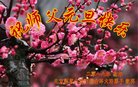 ֹ,󷨵ӹףʦ(21)