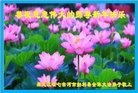 Published on 1/1/2018 ���ֹ�,��½�󷨵��ӹ�ףʦ�������(32��)