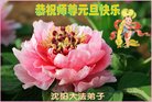 ֹ,󷨵ӹףʦ(25)