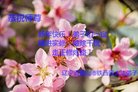 ֹ,󷨵ӹףʦ(20)
