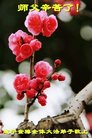 ֹ,Ĵ󷨵ӹףʦ(25)