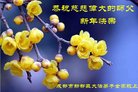 ֹ,ɶ󷨵ӹףʦ(24)