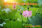 Published on 12/30/2017 ���ֹ�,�������㽭�󷨵��ӹ�ףʦ��Ԫ������