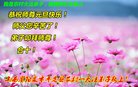 Published on 12/31/2017 ���ֹ�,���󷨵��ӹ�ףʦ�������(26��)