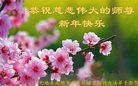 ֹ,ɶ󷨵ӹףʦ(24)