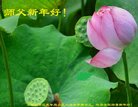 Published on 1/1/2018 ���ֹ�,��½�󷨵��ӹ�ףʦ�������(32��)