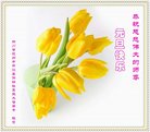 Published on 1/1/2018 ���ֹ�,��½�󷨵��ӹ�ףʦ�������(25��)