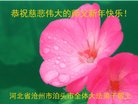 Published on 1/1/2018 ���ֹ�,��½�󷨵��ӹ�ףʦ�������(31��)
