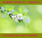 Published on 1/1/2018 ���ֹ�,��½���ش��ͥ�󷨵��Ӻ�������ףʦ���������